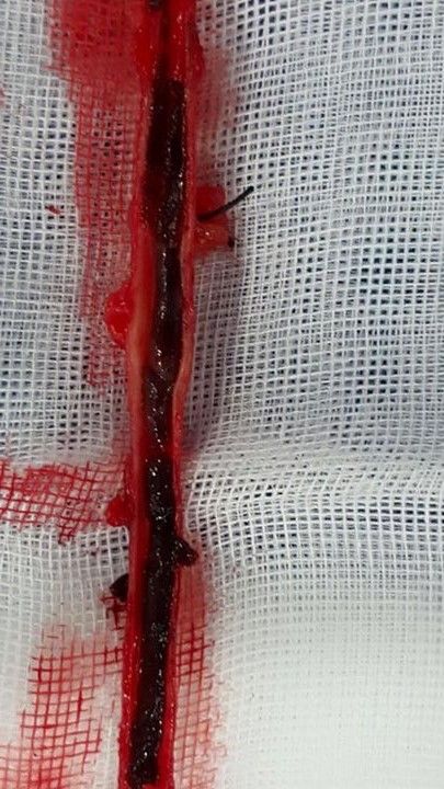 Roberto Águila Márquez-17