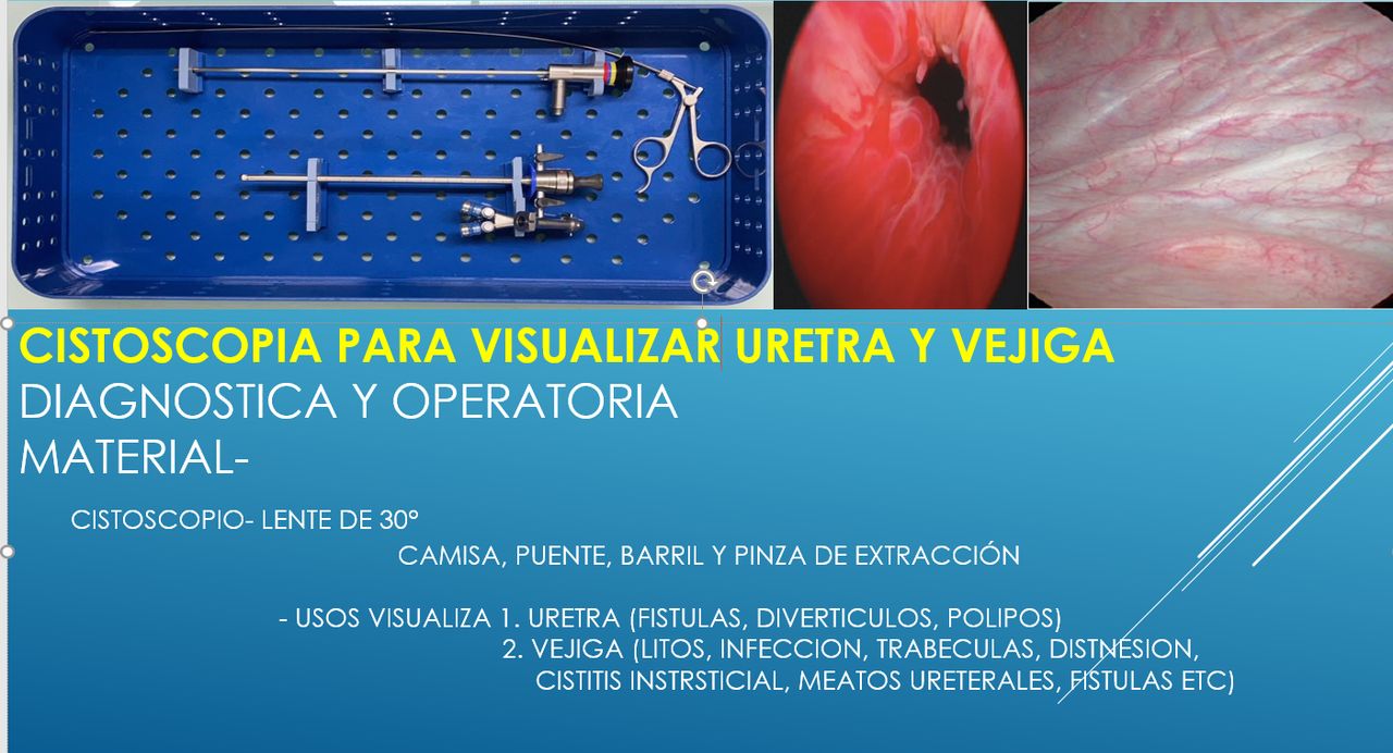 Jaime Cevallos Bustillos-4