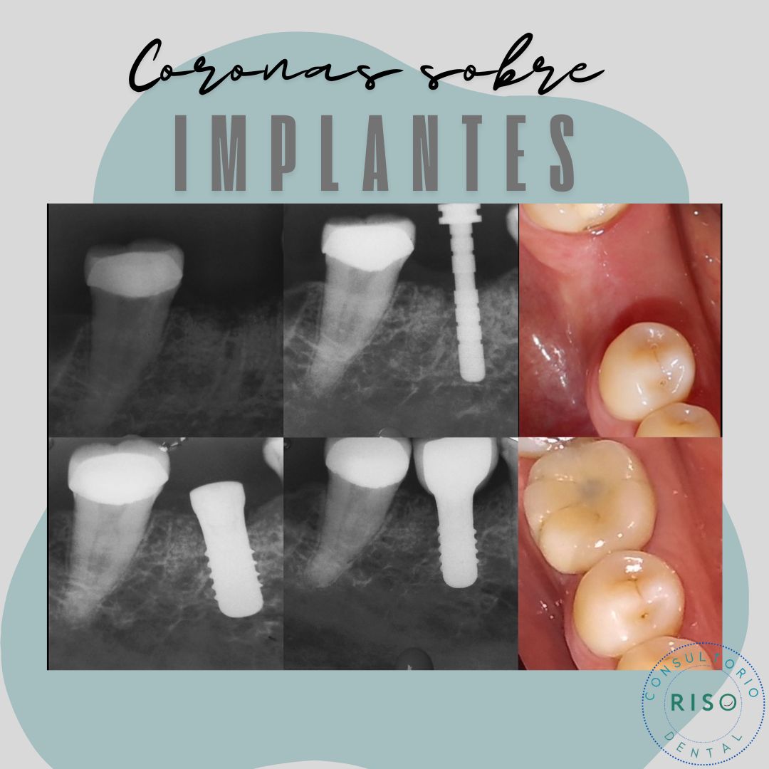 Cinthya García Sámano-7