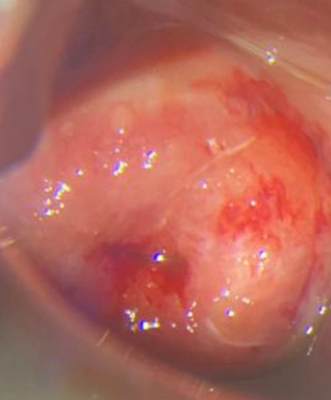 Juan José Solano Perez-9