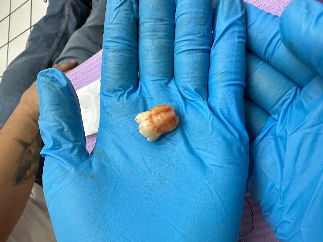 Valeria Muñoz Balboa-12