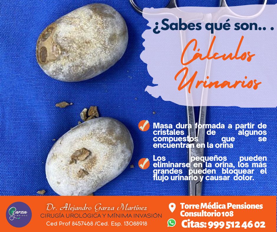 Alejandro Garza Martinez-54