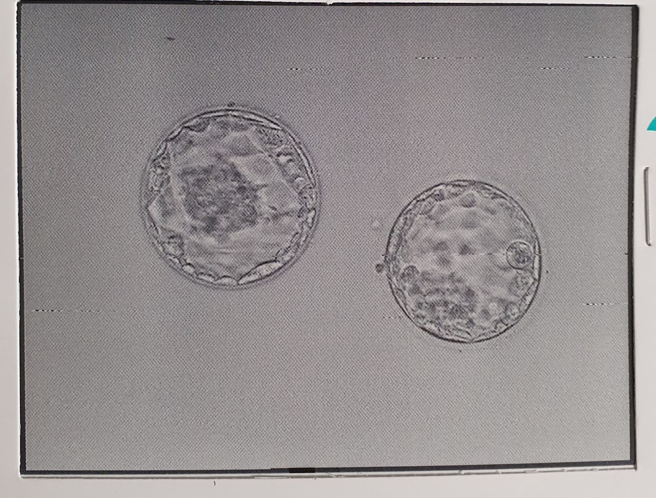 Jorge Alberto Rodriguez Pezino-28