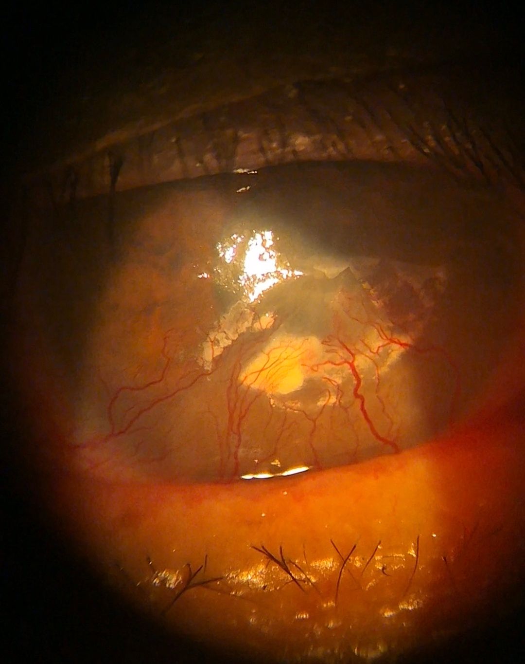 Dante Alan Guevara Villarreal-15