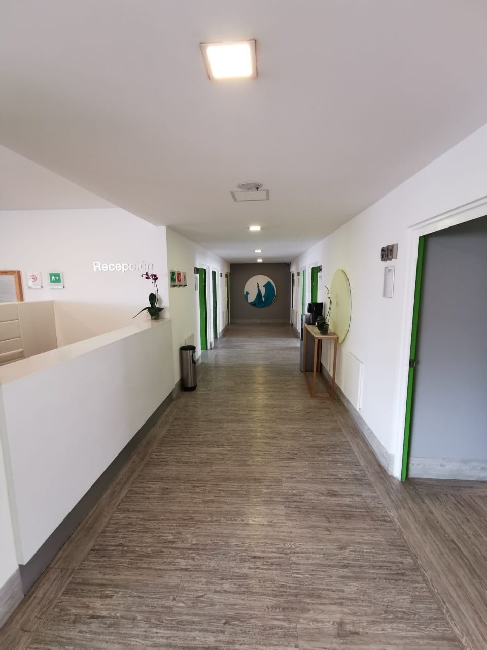 Itzel Nallely Alvarado Maldonado-6