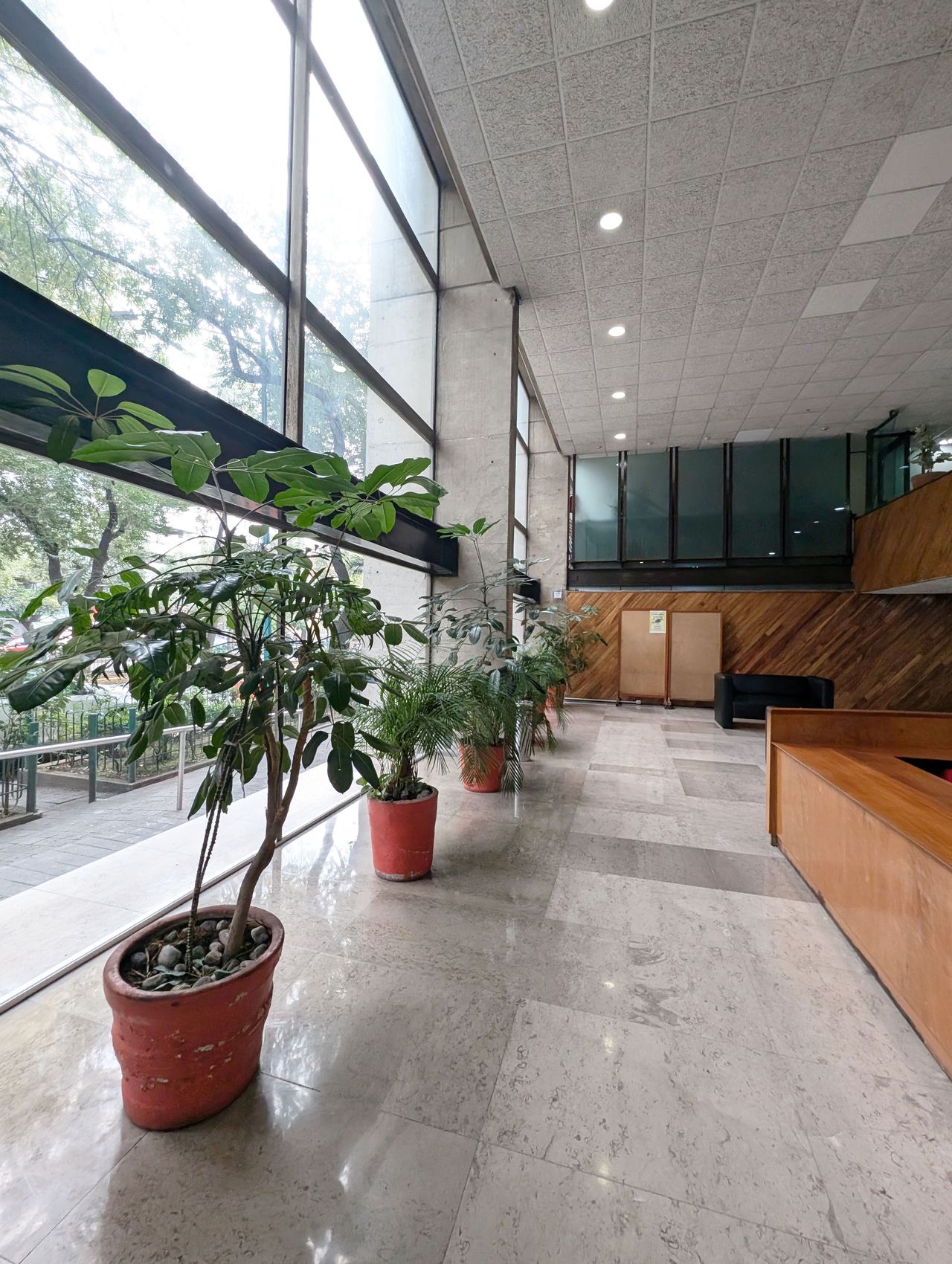 Allan Natanael Salmeron Mendoza-1