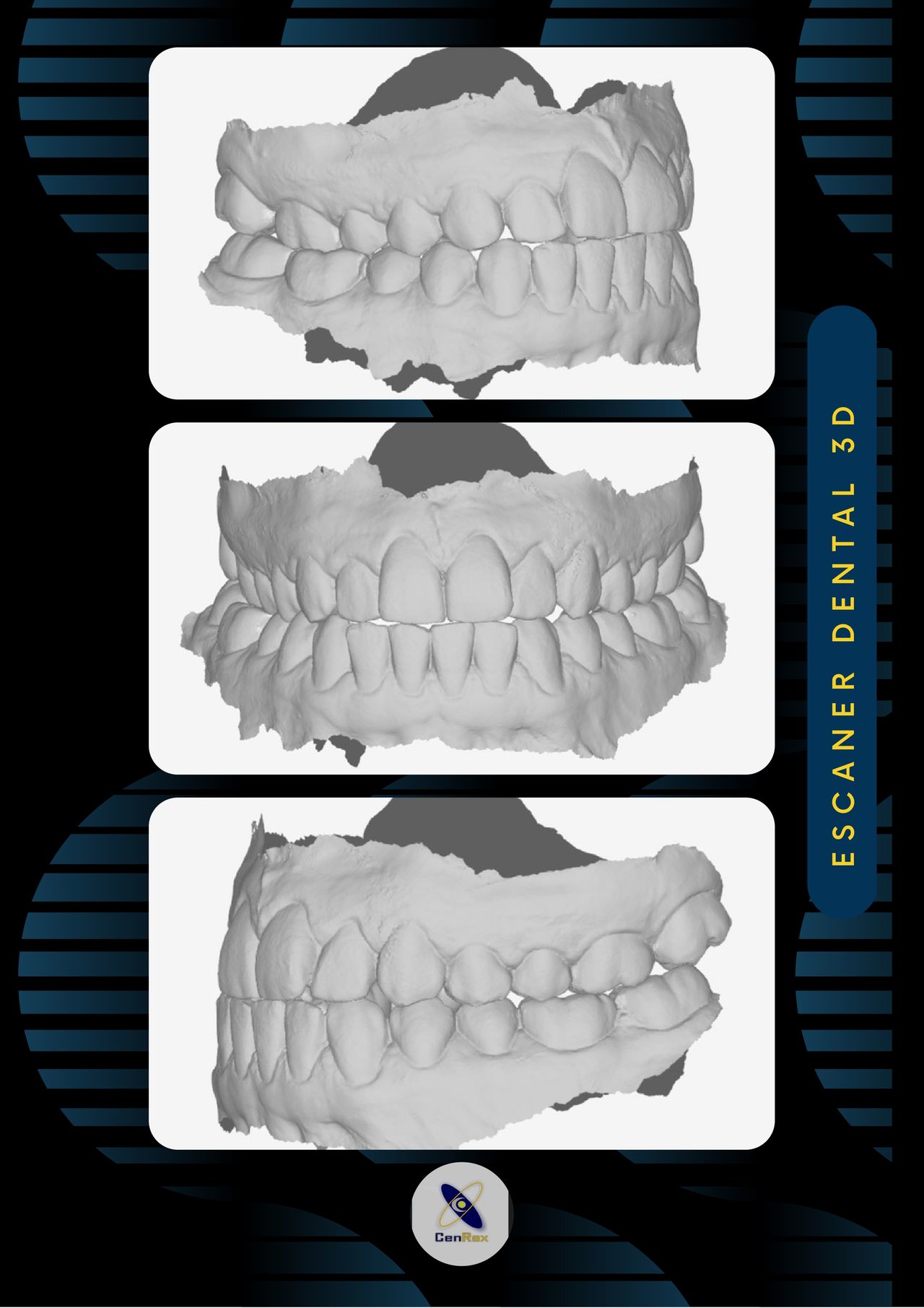 Lizbeth Rodríguez Capetillo-28