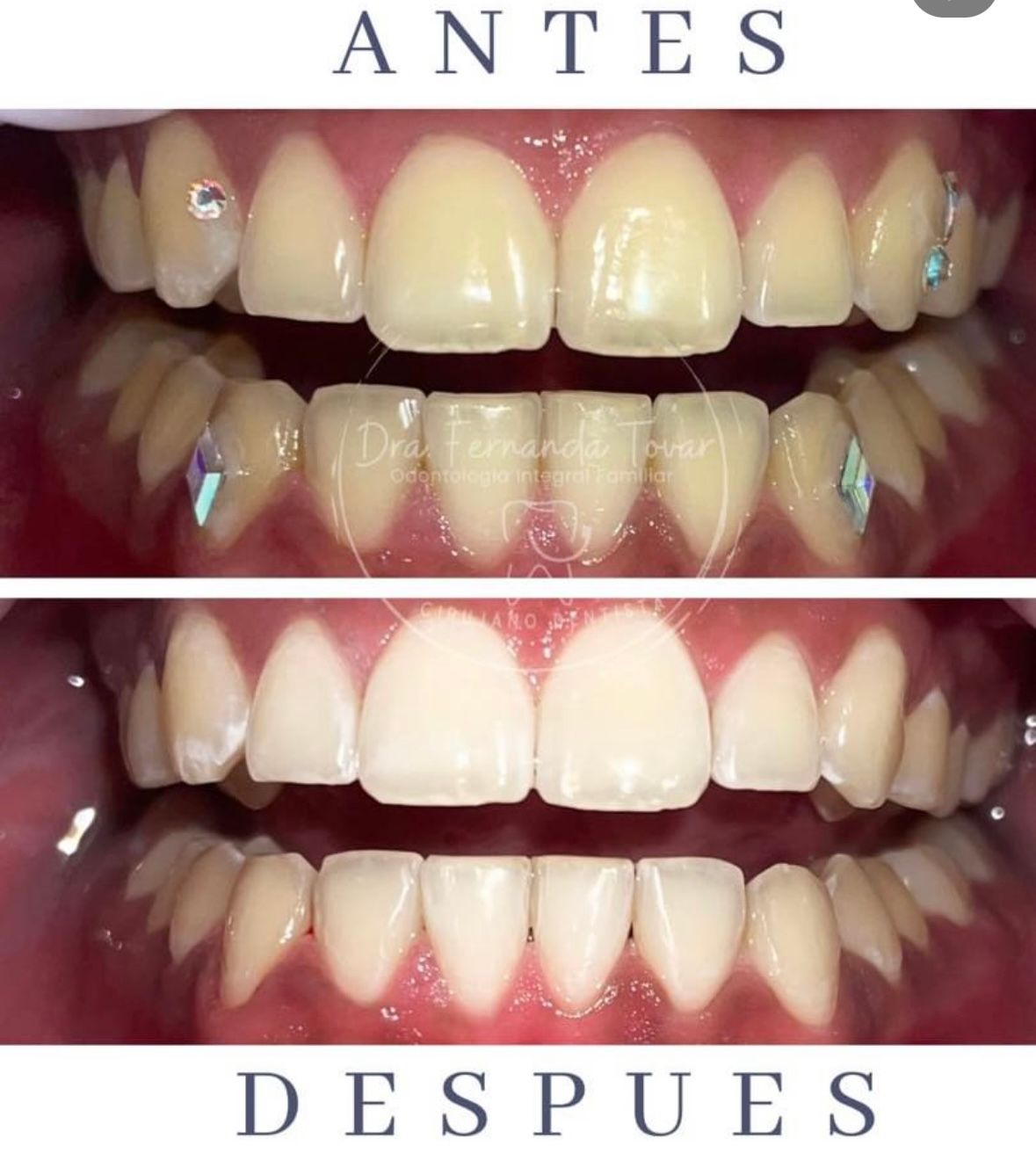 Fernanda Tovar Navarro-2