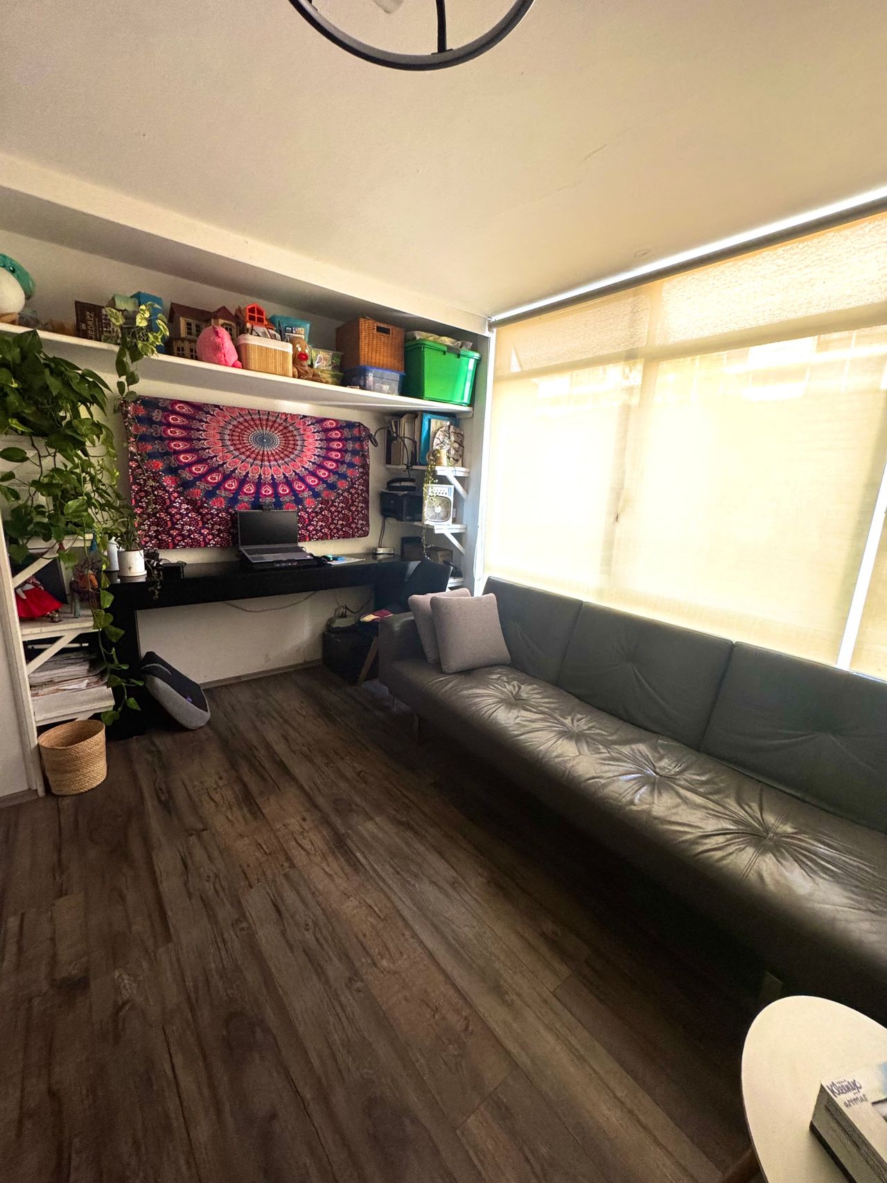 Areli Ivonne Yáñez González-7