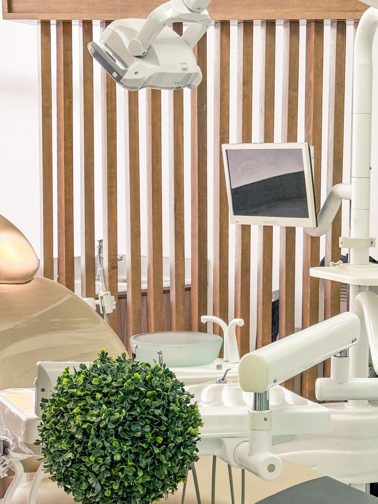 Brenda Carmona Molina-5