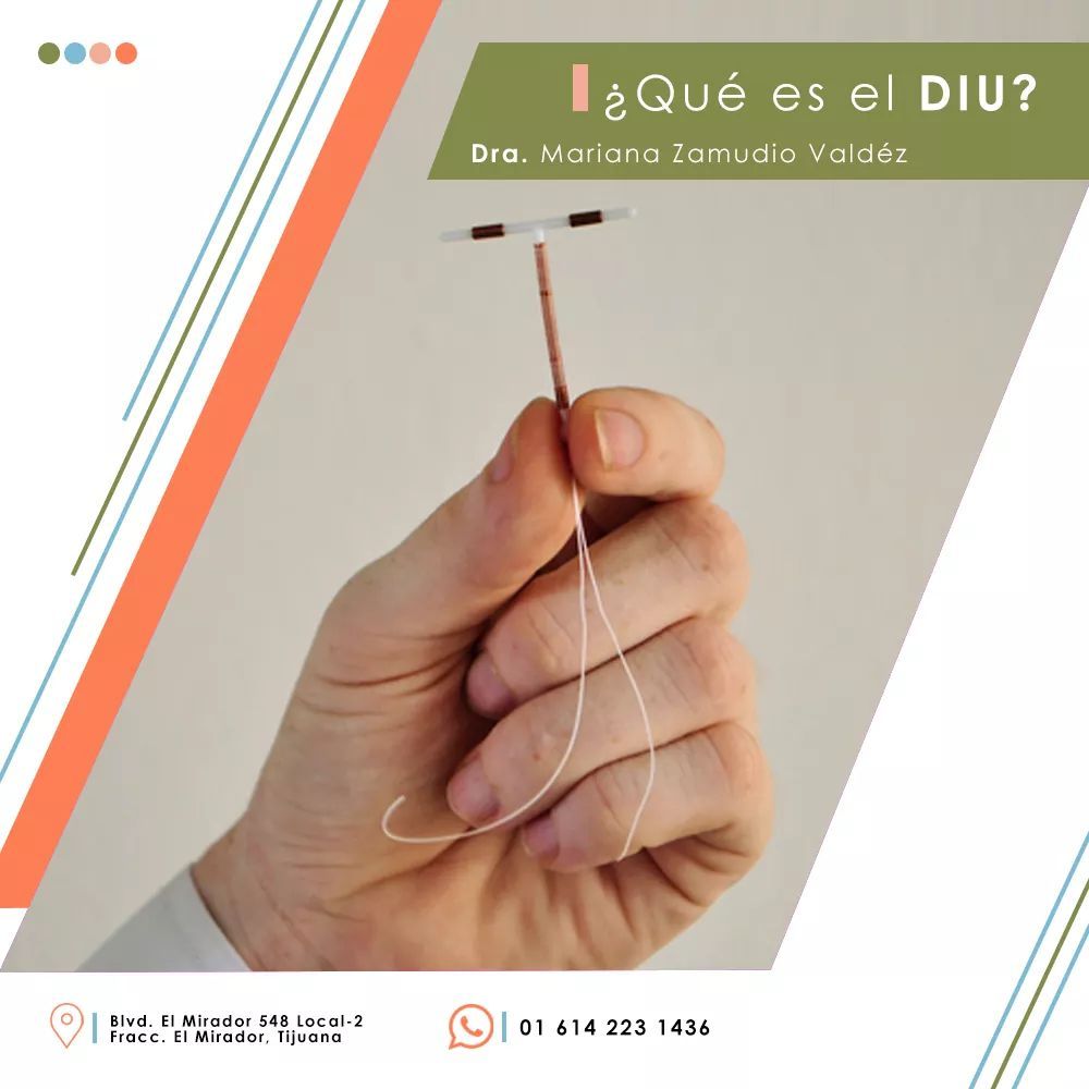 Carla Mariana Zamudio Valdez-5