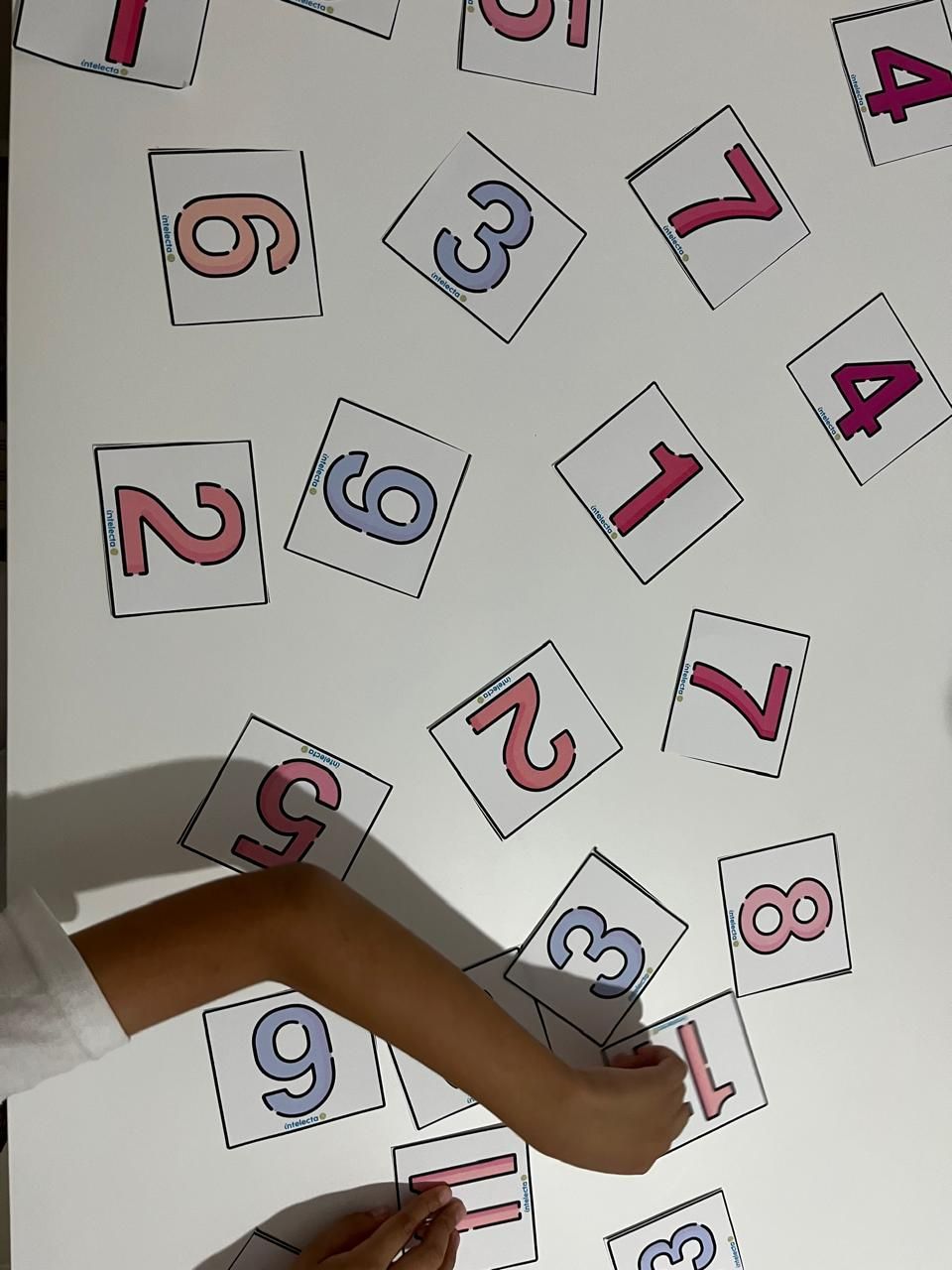 Fanny Celeste Fernandez Diaz-13