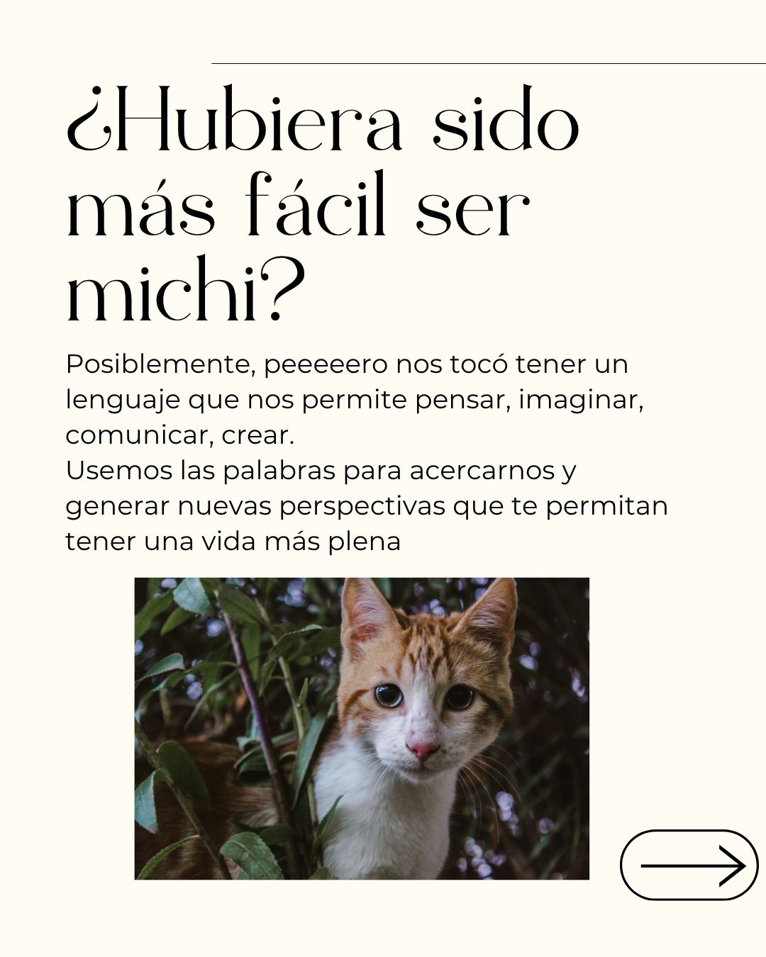 Lilia Carrillo Ugalde-10