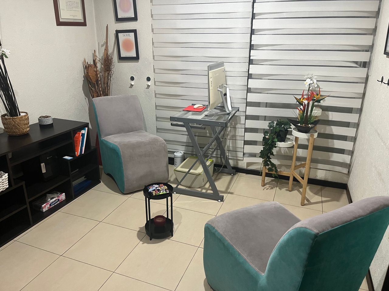 Ana Liz Garcés Arámburo-2