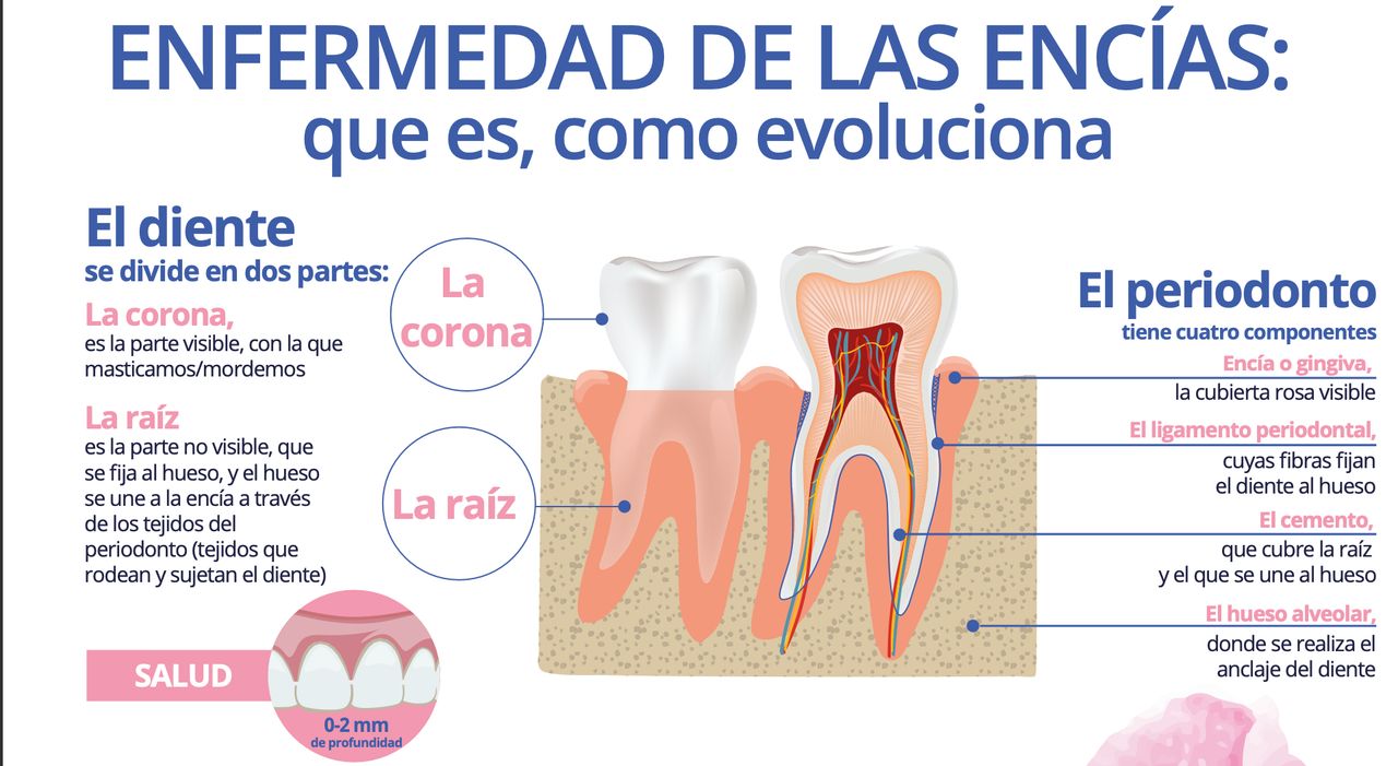 José Alan Villalobos Mendoza-2