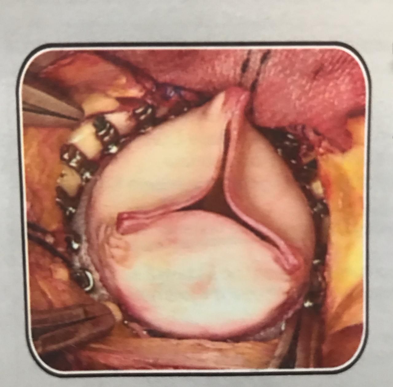 Victor Manuel Carmona Delgado-19