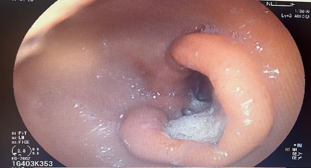 Yuridia Macías Ángeles-8