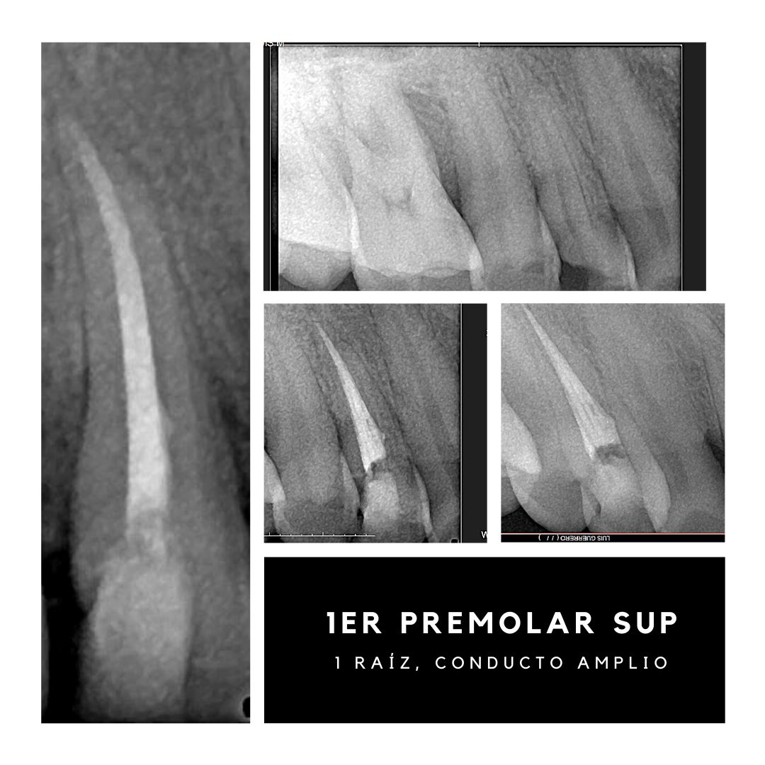 Fernando Antonio Vázquez García-16