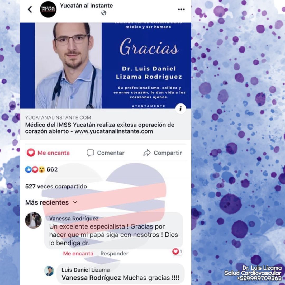 Luis Daniel Lizama Rodrí­guez-12