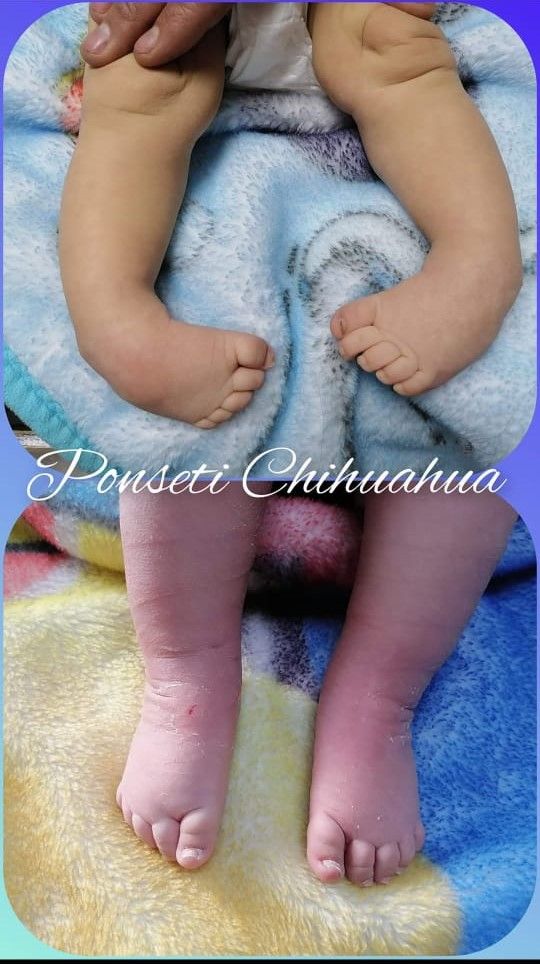 Juan Carlos Barragán Medina-4