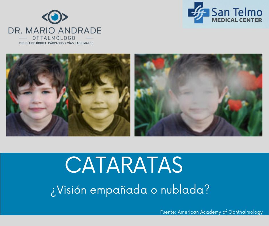 Mario Andrade Lozano-4