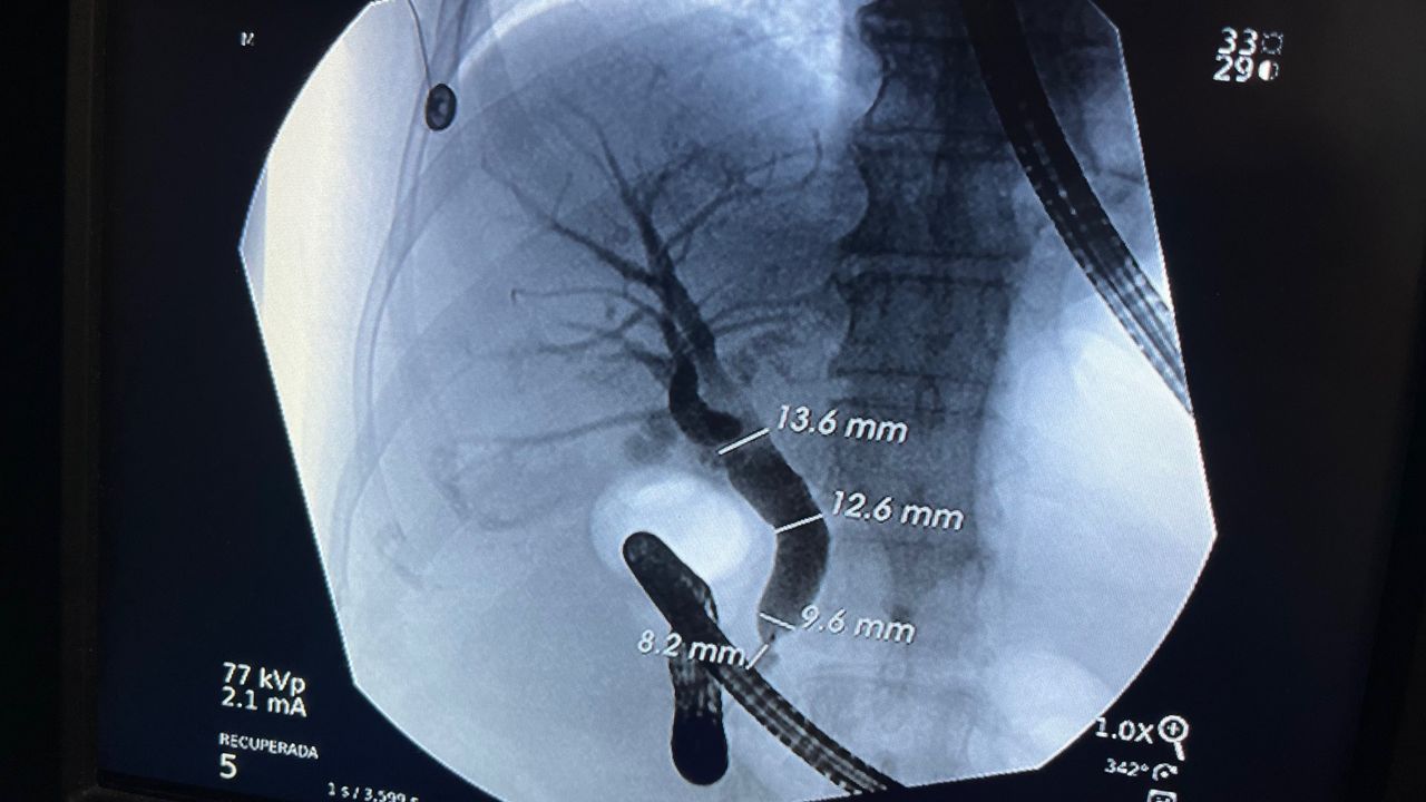 Yuridia Macías Ángeles-7