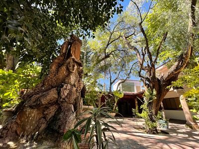 Trino José Baptista-9