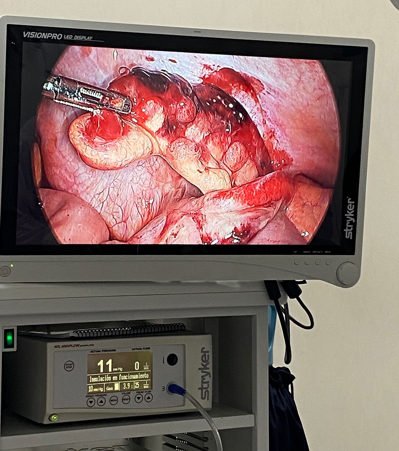 Luis E. Añorve Castro-12