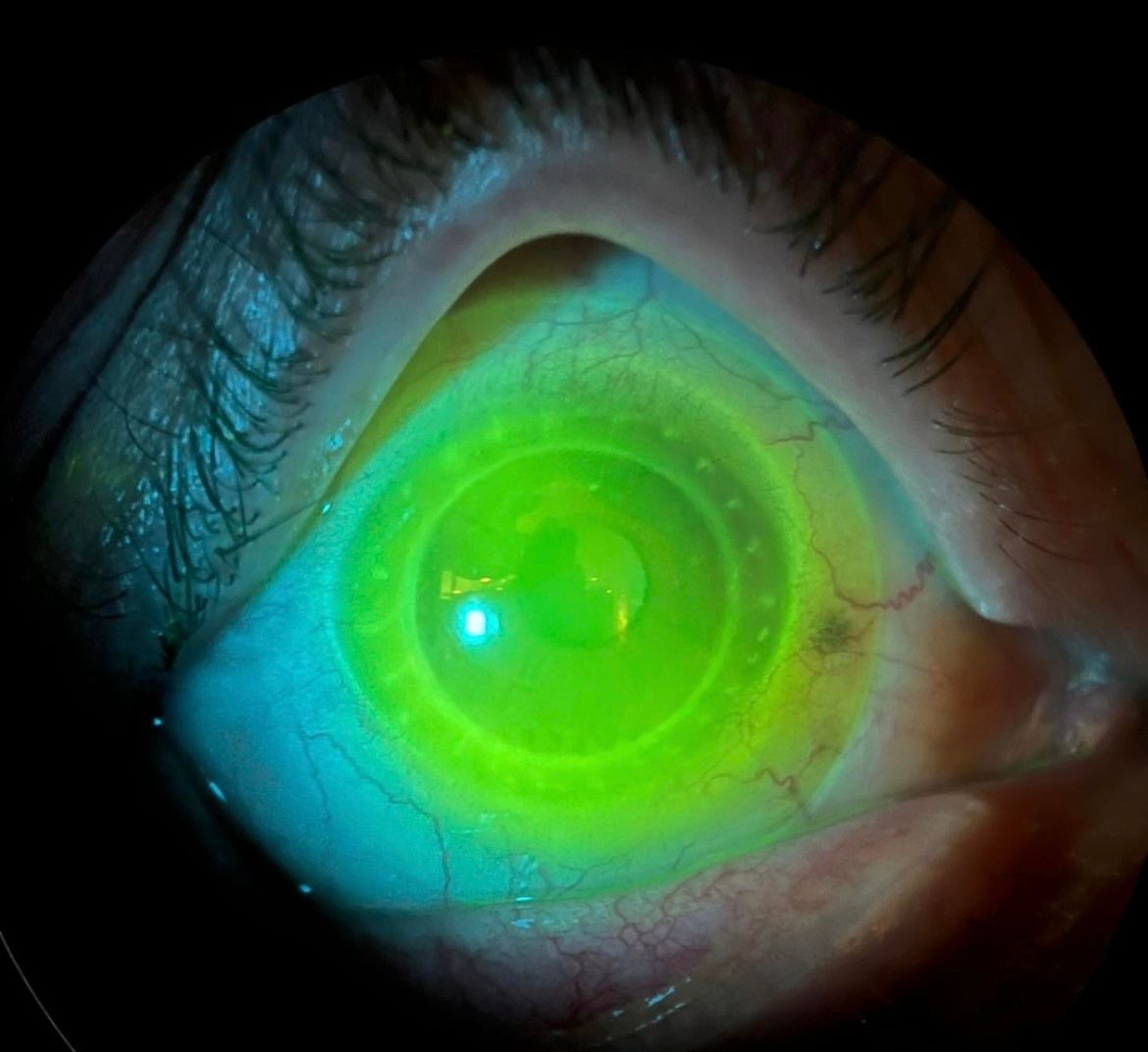 Omar Flores Cárdenas-10