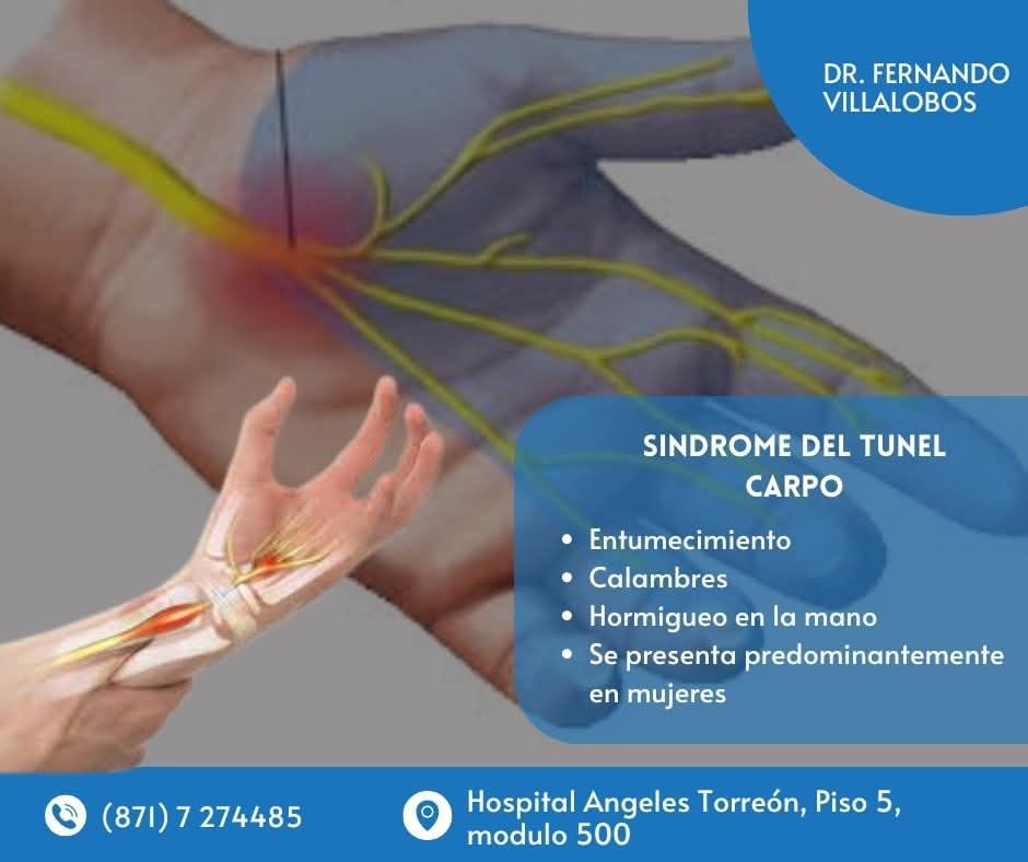 Querido Fernando Villalobos Maynez-2