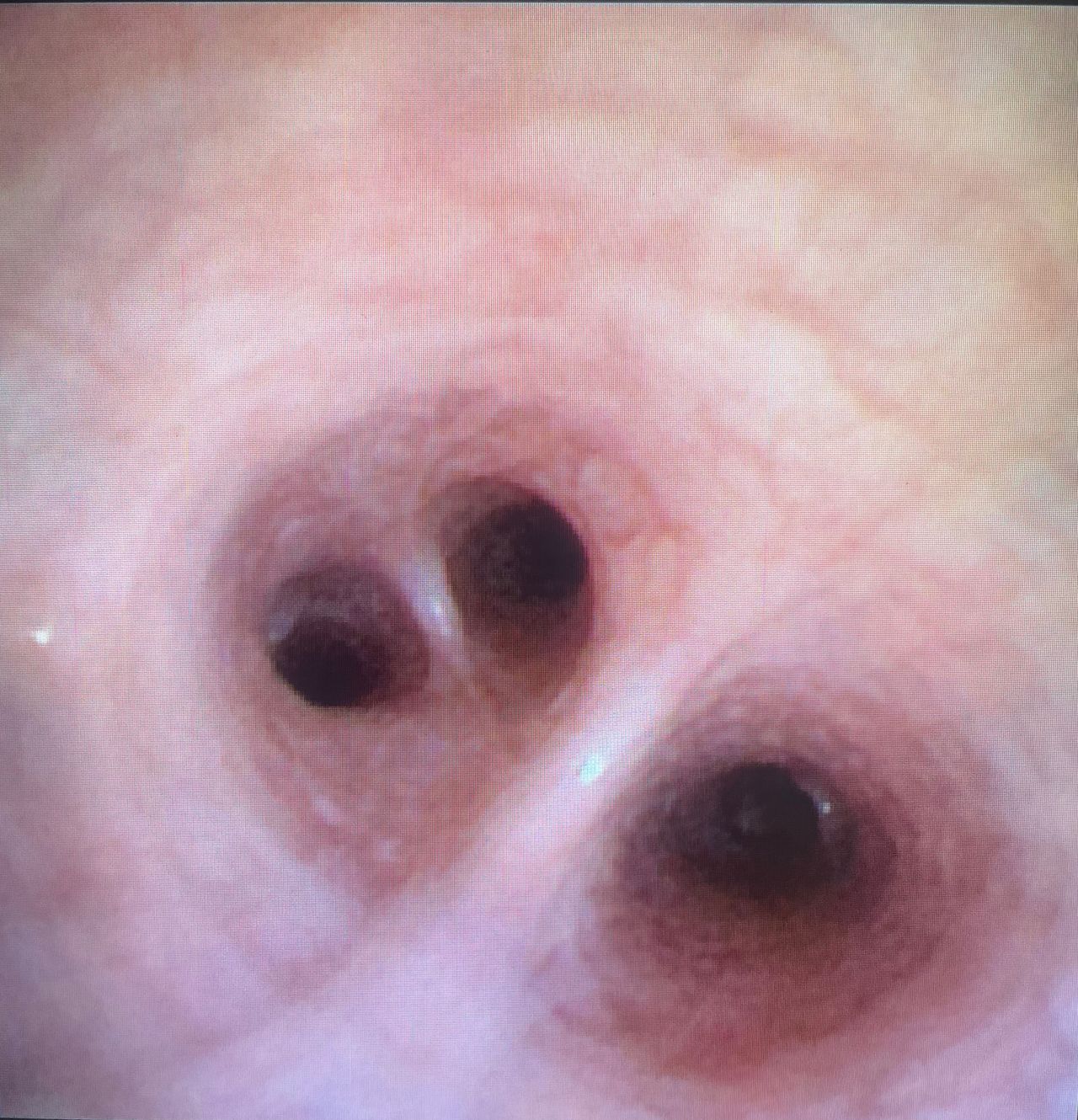 Carlos Gómez Guzmán-1