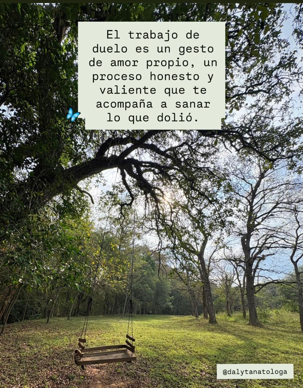 Dalia Angélica Villarreal Rodríguez-17