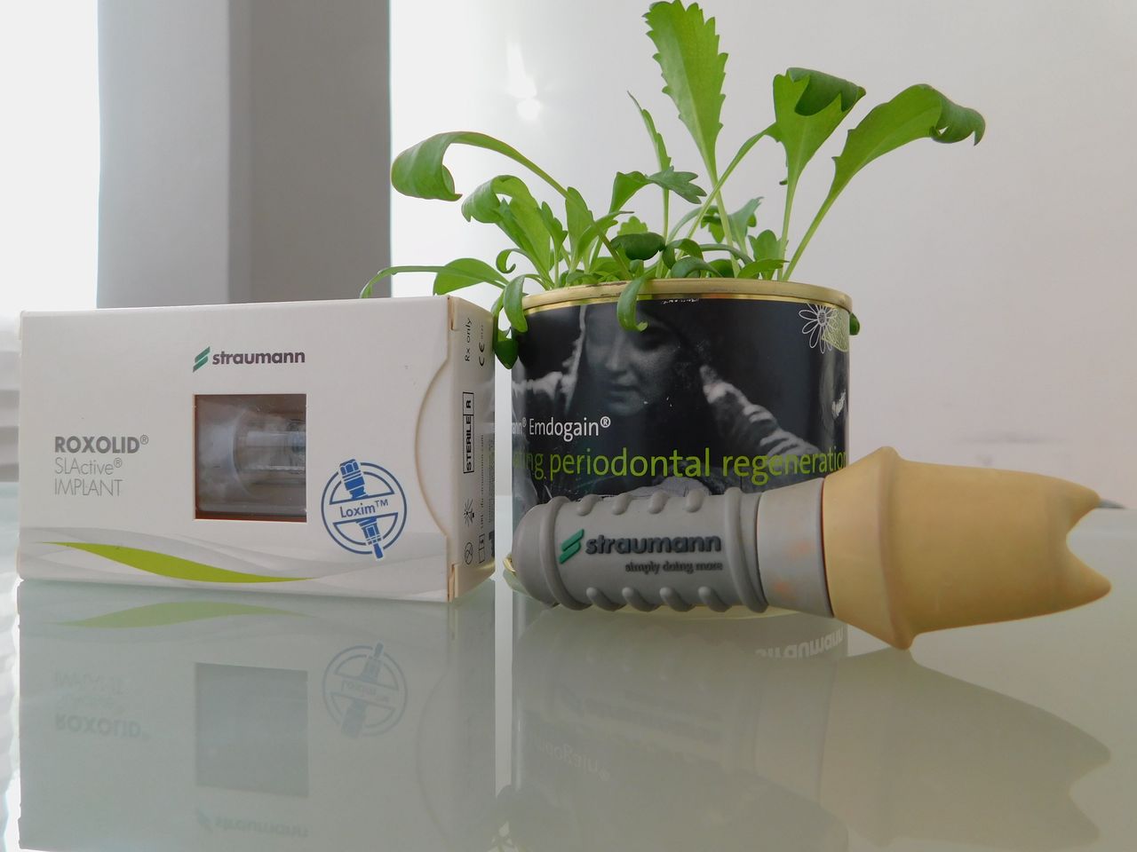 Patricia Porras Domínguez-16