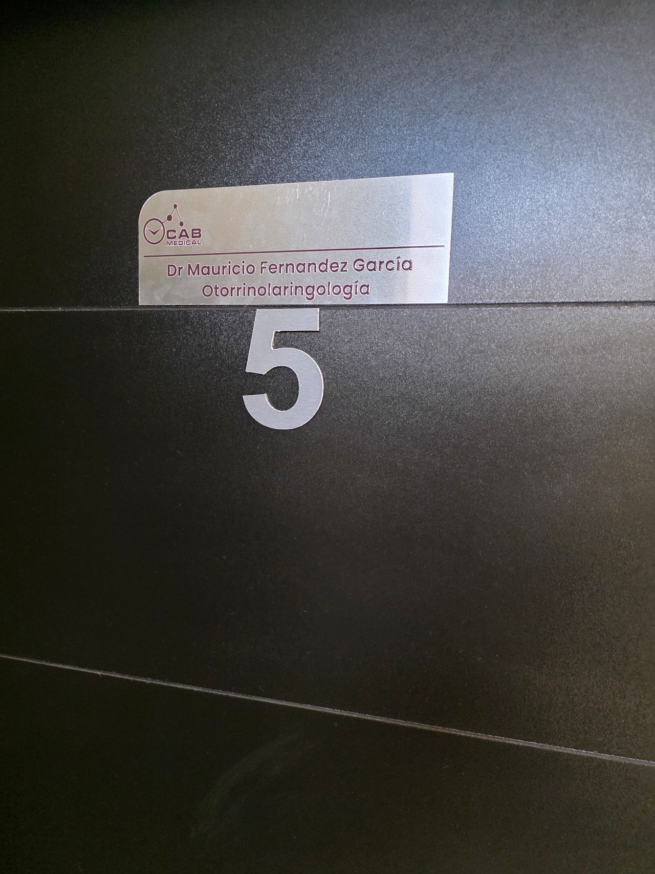 Mauricio Fernandez-1