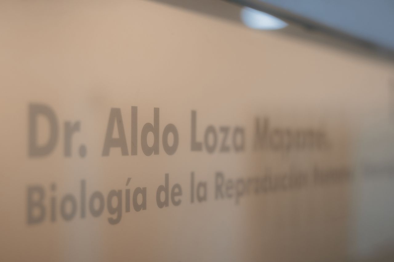 Aldo Loza Mapomé-0