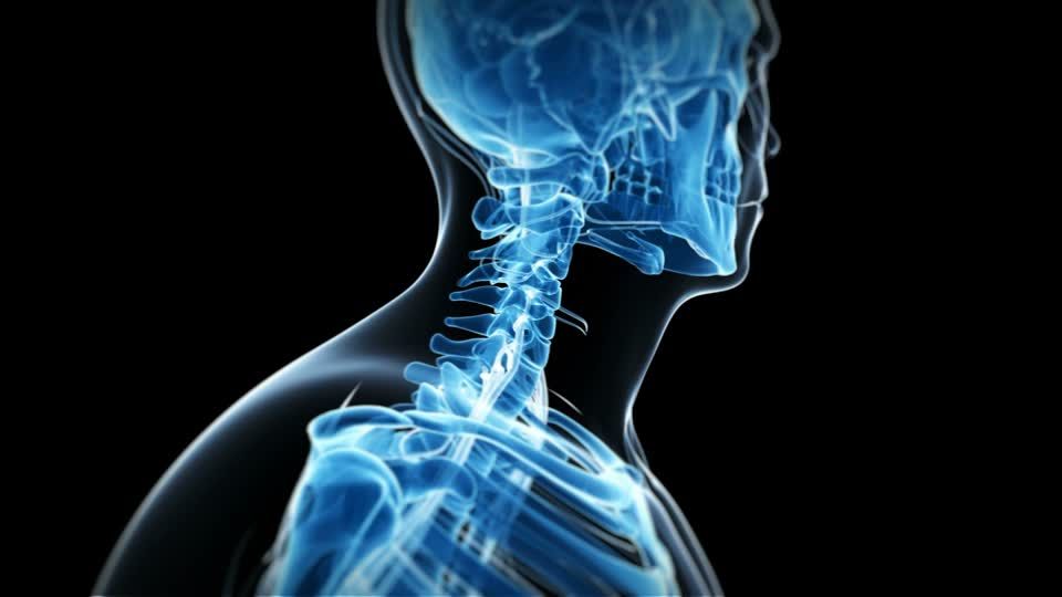 José Sayavedra Jaimes-36