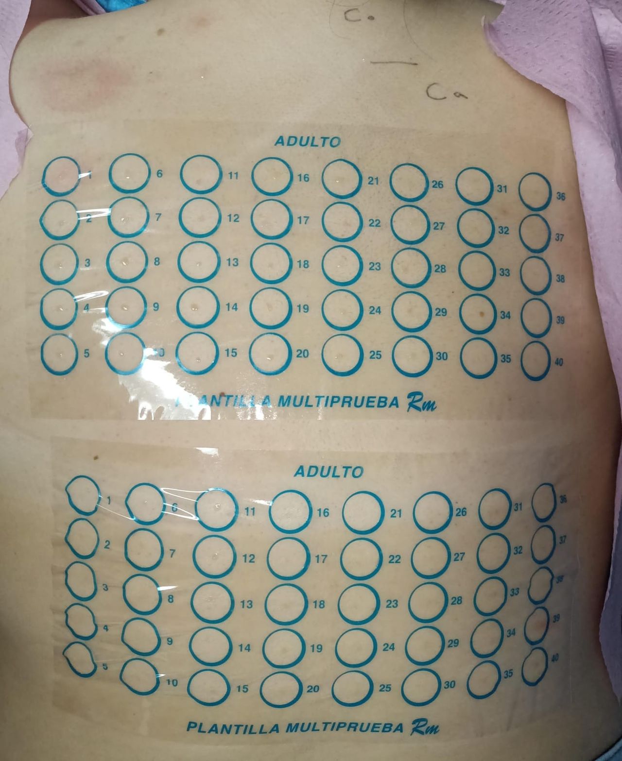 Carlos Gerardo Zuñiga Lagunes-15