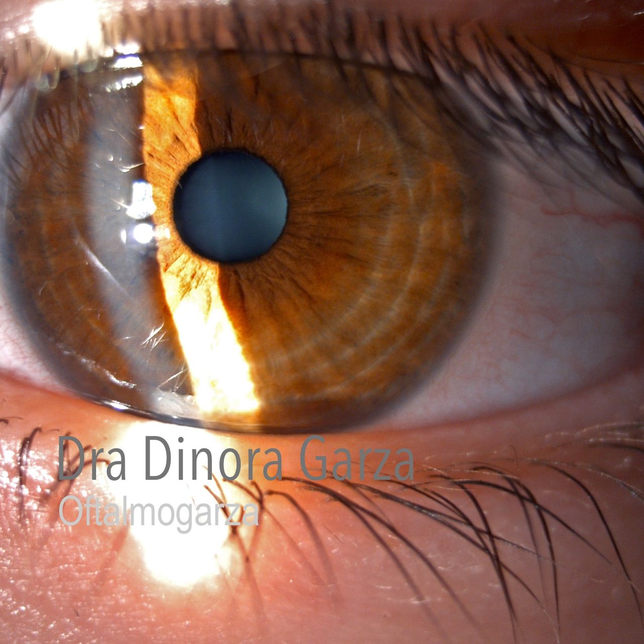 Dinora Garza Leal-41