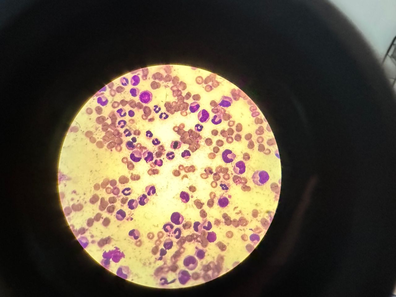 Juan Carlos Mejía-Martínez-3