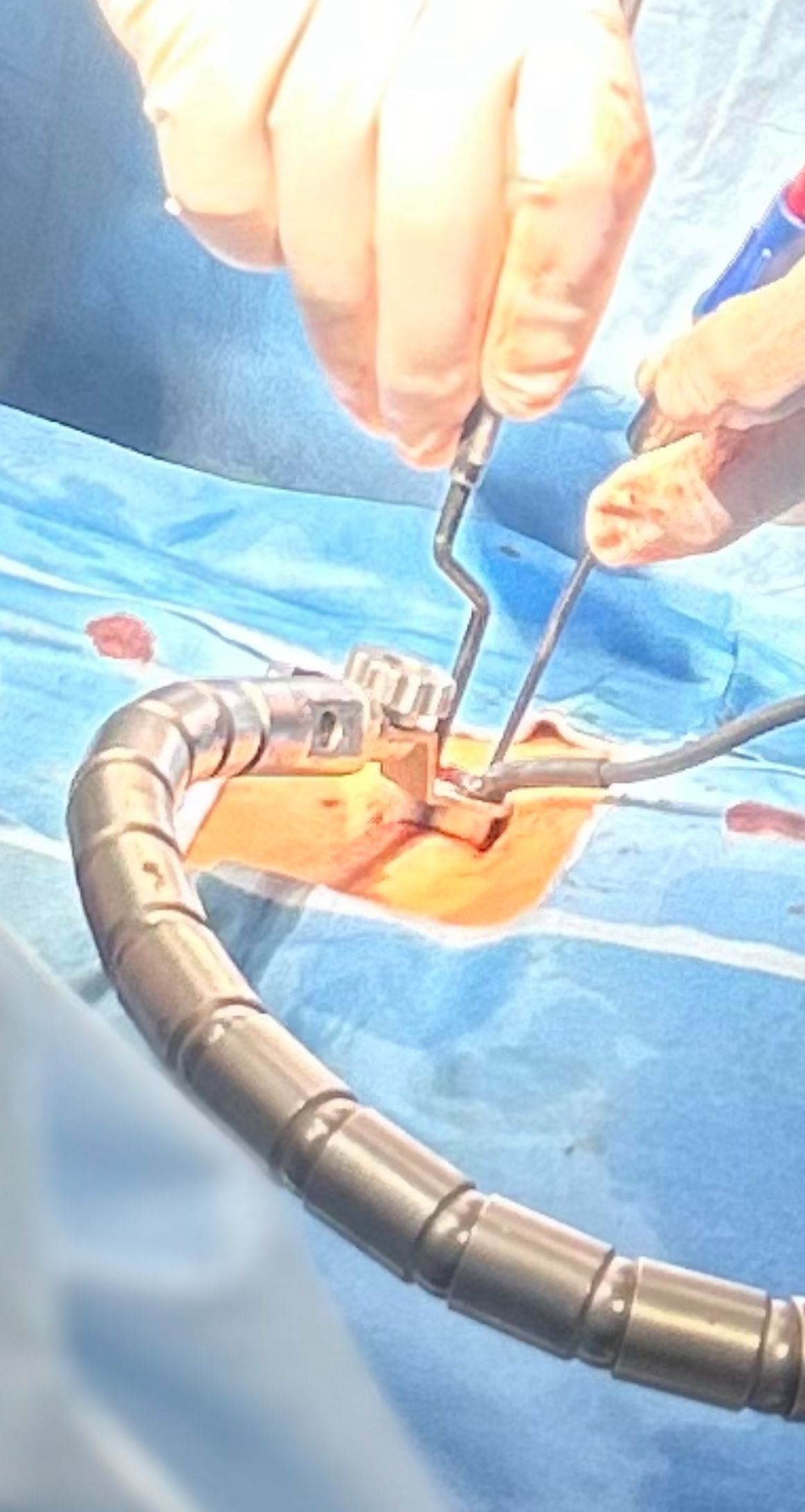 Luis Alberto Ramírez López-0