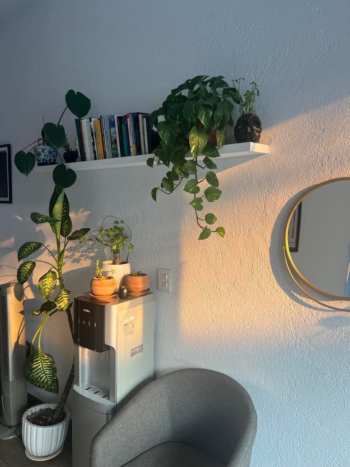 Alberto Isita Galeazzi-14