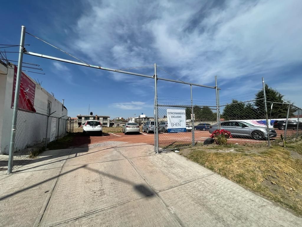 Tanya Janai Marin Gonzalez-3