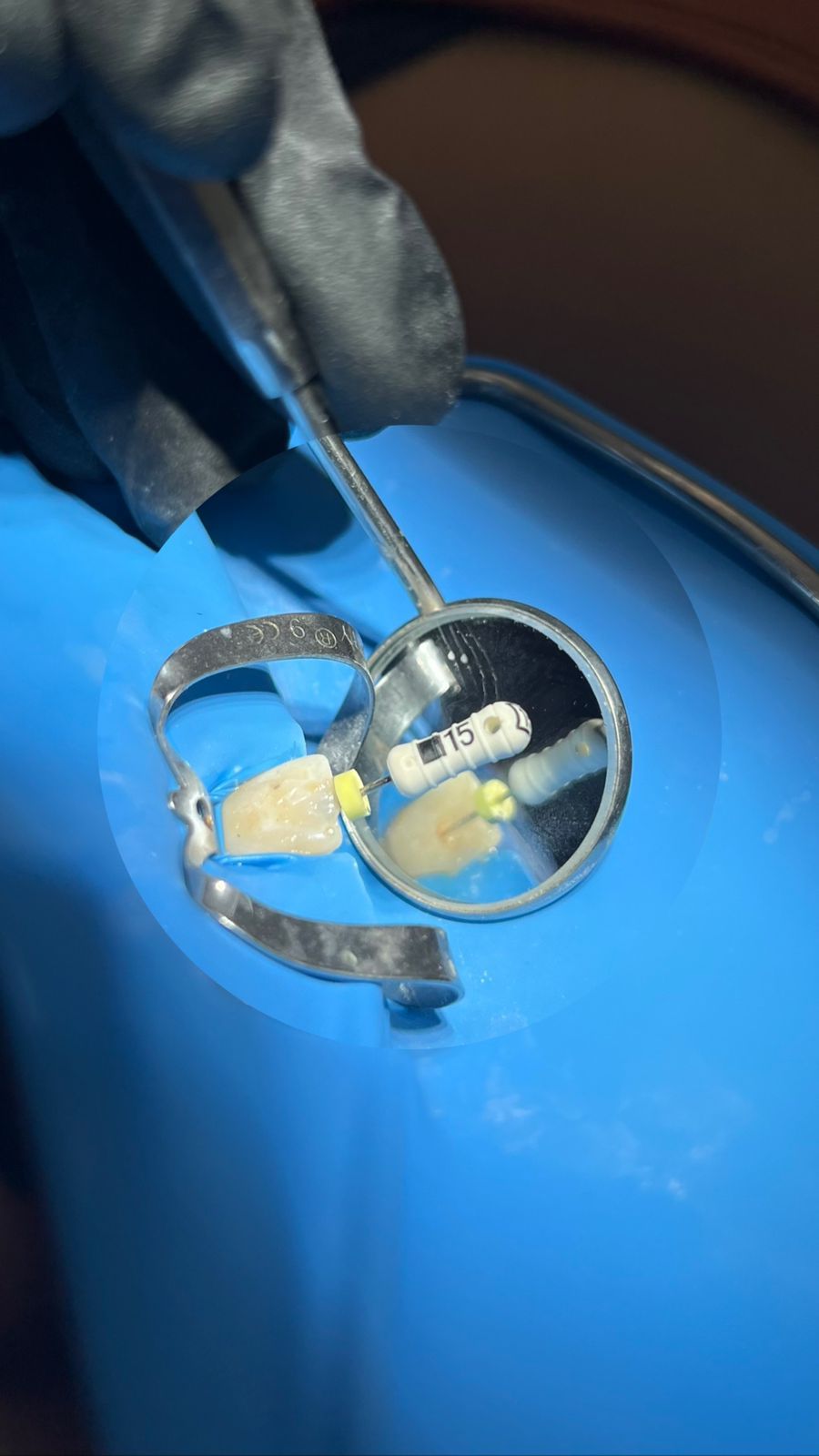 Valeria Muñoz Balboa-5