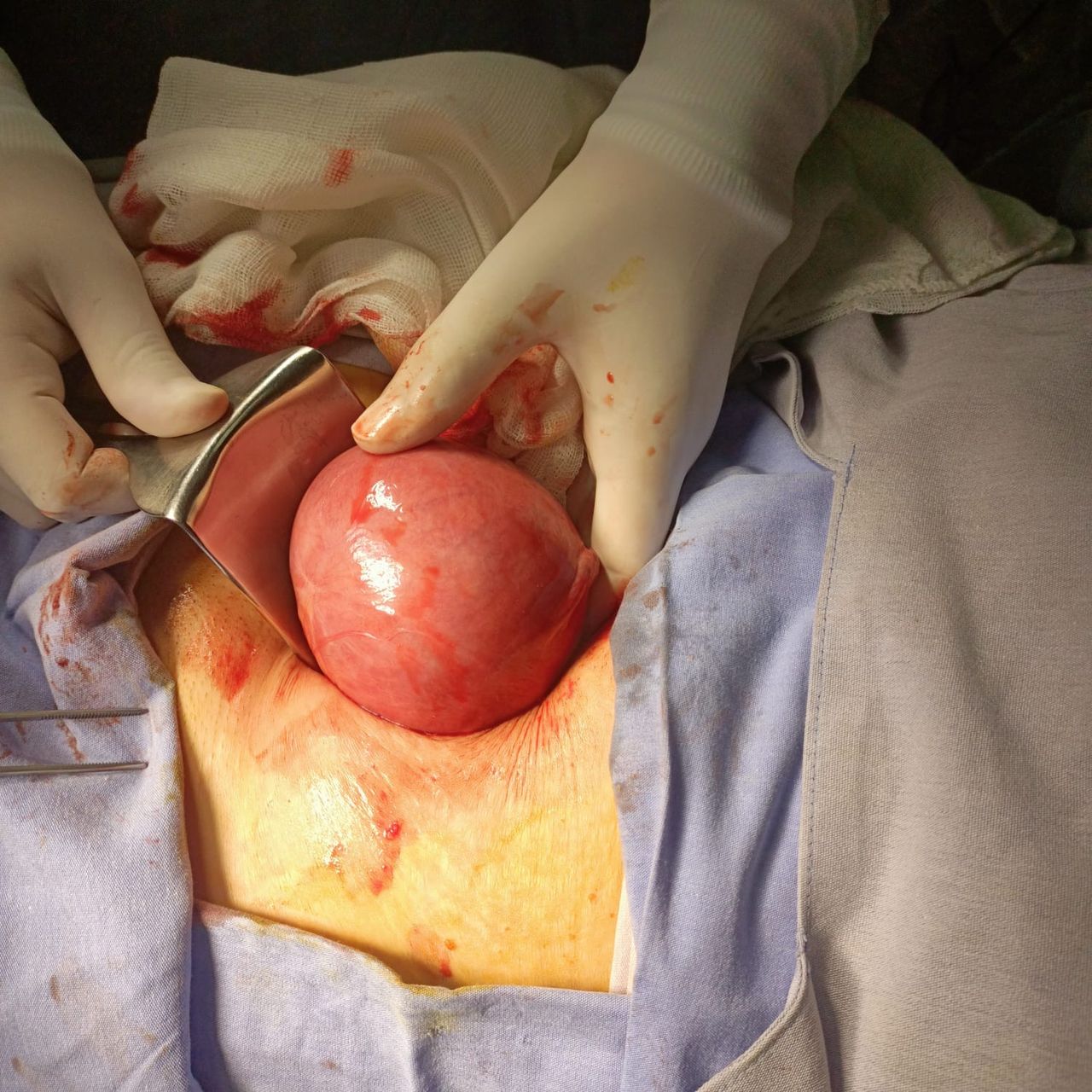 Juan Carlos Marin Mireles-23