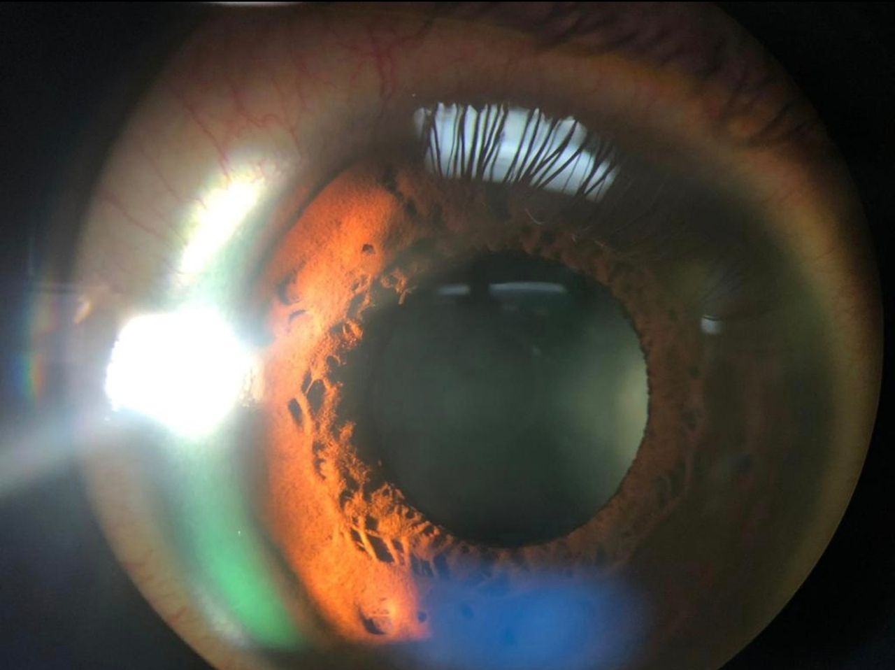 Brenda Sánchez Laguna-9