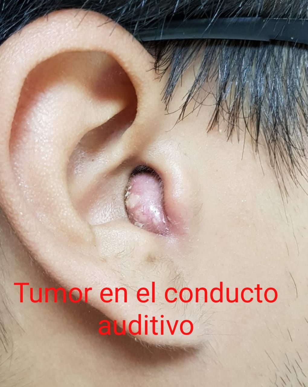 María Antonieta Vázquez Bojórquez-10