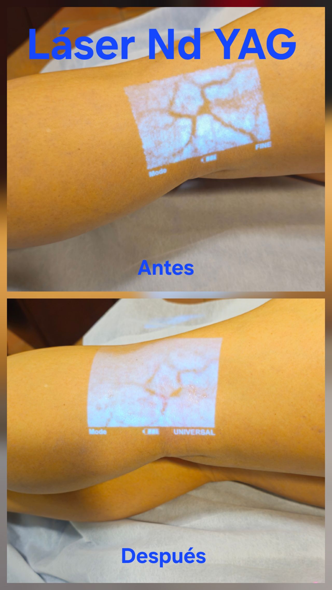 Luis Alberto Garnica León-0