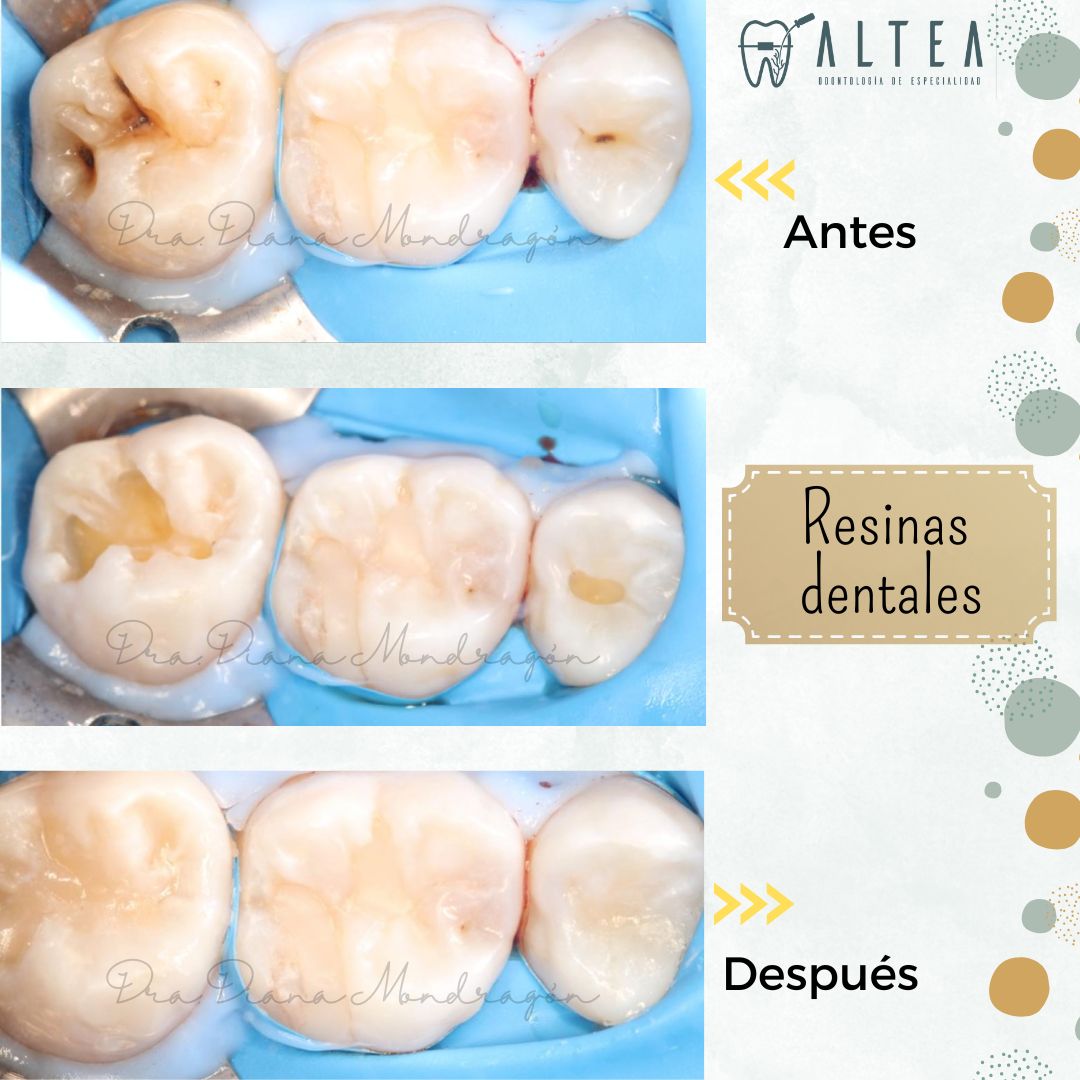 Diana Beatriz Mondragon Tamaturgo-2