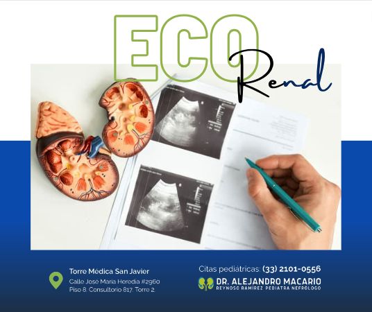 Alejandro Macario Reynoso Ramírez-6