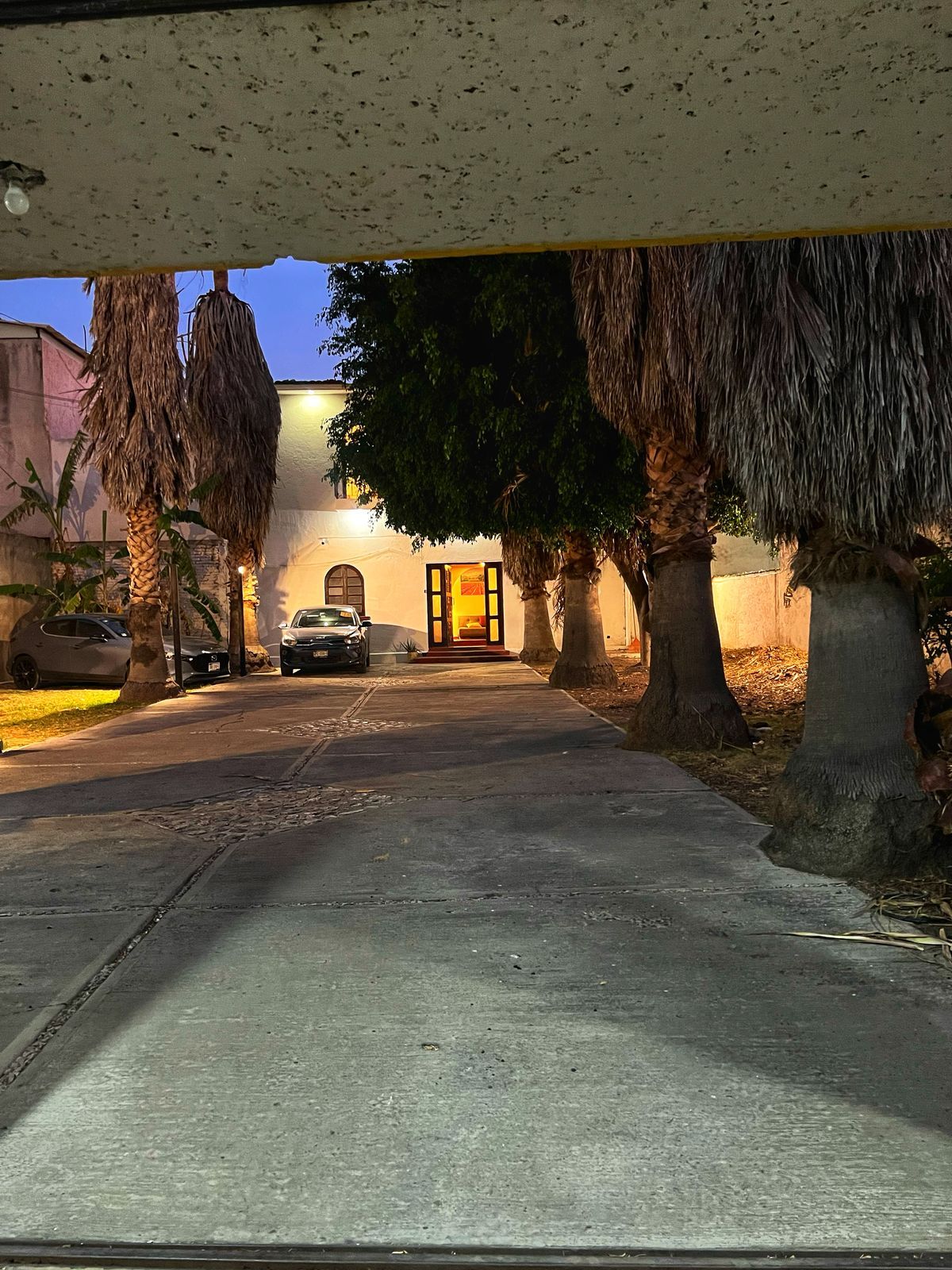 Quetzalli Navarrete-6